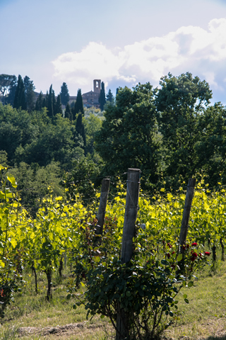 Restaurant Da Nisio San Gimignano Siena Tuscany