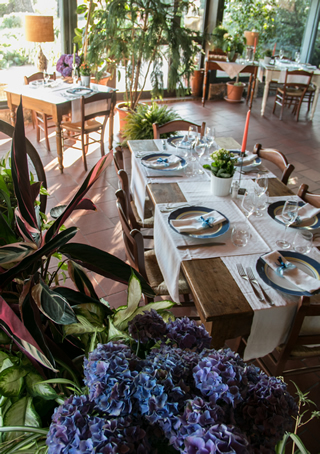 Restaurant Da Nisio San Gimignano Siena Tuscany